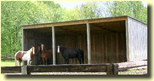 Horse Shed