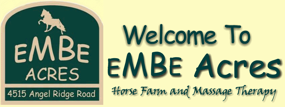 EMBE ACRES HORSE FARM AND HUMAN MASSAGE THERAPY